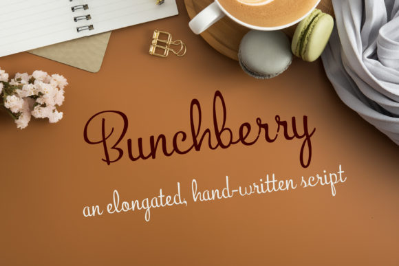 Bunchberry Font Review: A Delicate Handwritten Typeface for Branding