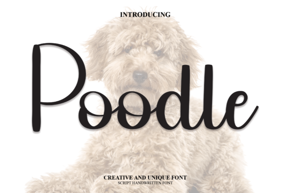 Poodle: A Handwritten Typeface for Calm Editorial Design