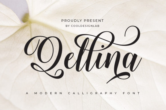 Qellina: The Elegant Typeface That Transforms Small Business Branding