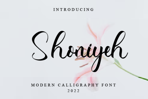 Shoniyeh: A Refined Script Font for Modern Brand Identity